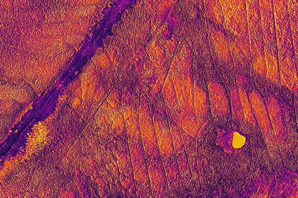Thermal image of the same roof