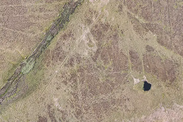 Visible light photo of the roof