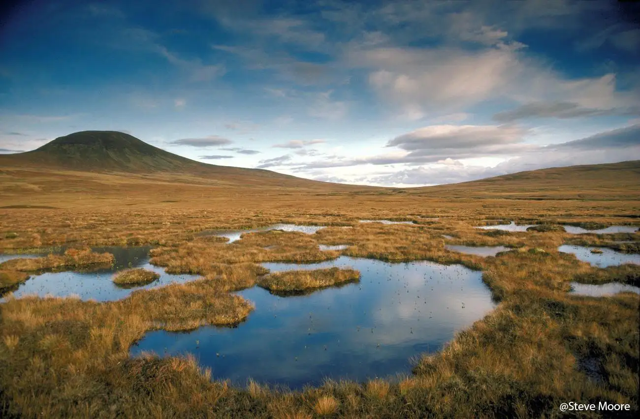 Drone peatland survey in Scotland for restoration and carbon capture assessment