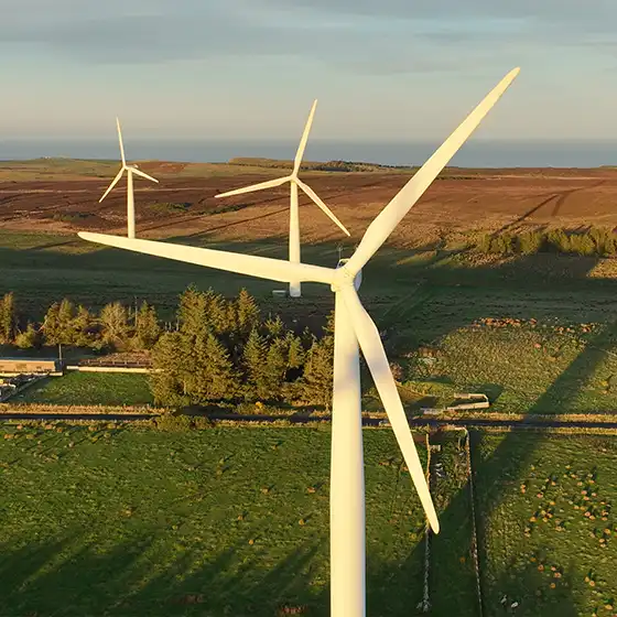 Wind turbine drone inspection and reporting